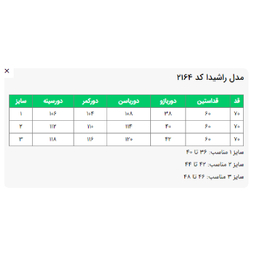 شومیز آستین بلند زنانه السانا مدل راشیدا کد 216401 رنگ مشکی