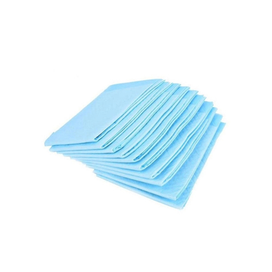 پد زیر انداز بهداشتی حیوانات خانگی مدل Eco Pad سایز 60×90 سانتی متر بسته 10 عددی