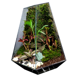 تراریوم ترارتوس مدل 03