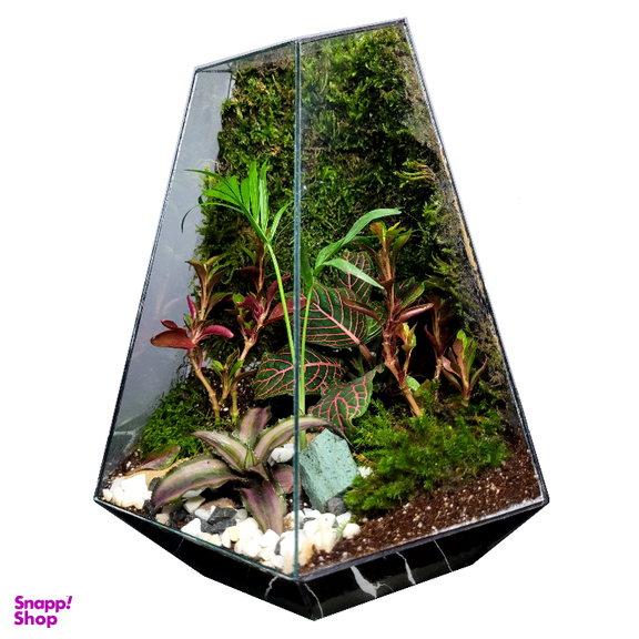 تراریوم ترارتوس مدل 03