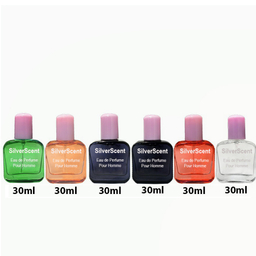 ادو پرفیوم مردانه آر تی مدل Silver Man