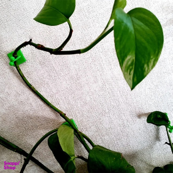 گیره نگهدارنده مدل تی بی 20 عددی
