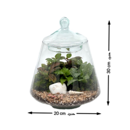 تراریوم مدل هرمی 2 سایز متوسط