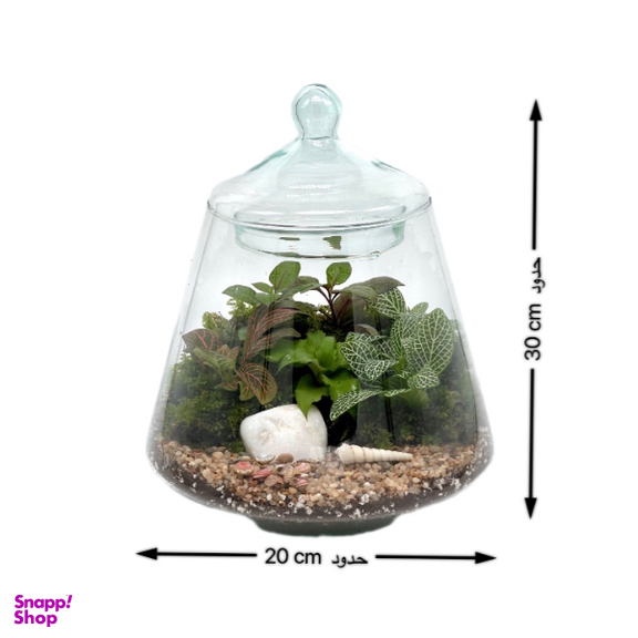 تراریوم مدل هرمی 2 سایز متوسط