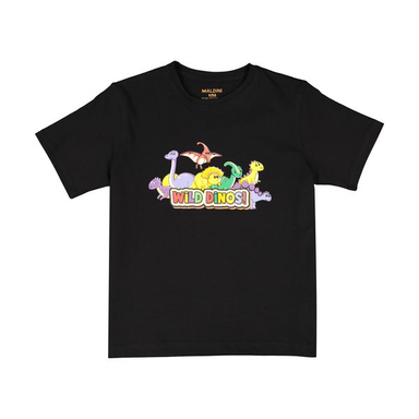 تیشرت آستین کوتاه پسرانه مالدینی مدل T-Kids-B01