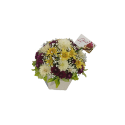 باکس گل طبیعی داوودی کد 113