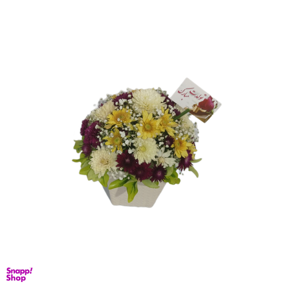 باکس گل طبیعی داوودی کد 113