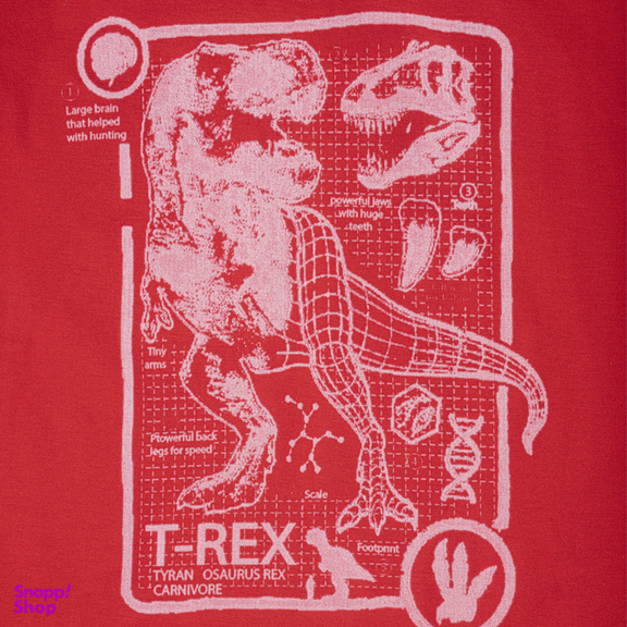 تیشرت آستین کوتاه پسرانه فیورلا مدل t-rex کد 35059