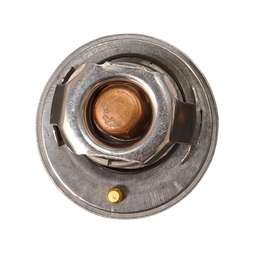 ترموستات فرانکو کد 2177 مناسب ریو
