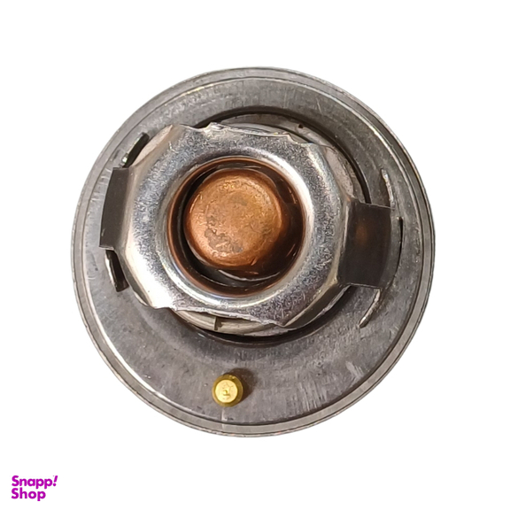 ترموستات فرانکو کد 2177 مناسب ریو