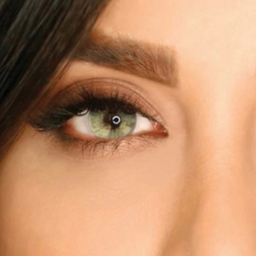 لنز رنگی سالیانه هرا شماره 6 کد SCA210 رنگ سبز طوسی روشن