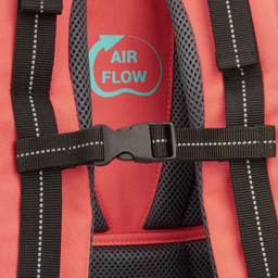 کوله پشتی دلسی مدل  مدرسه ارگونومیک کد 339162519