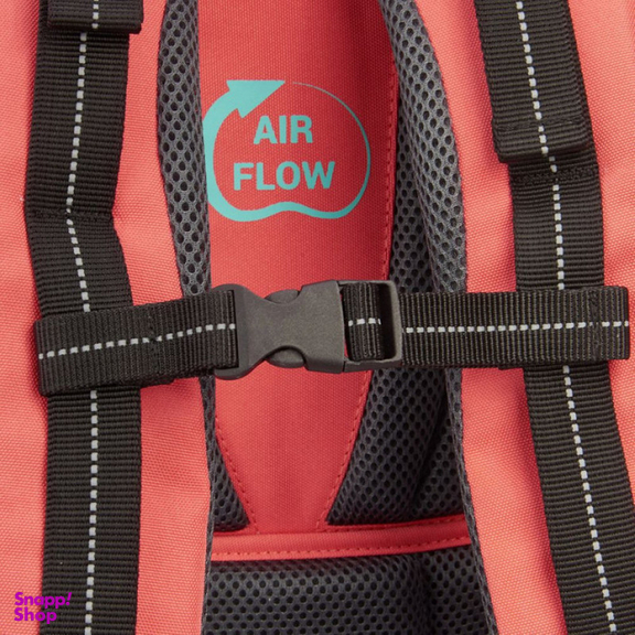 کوله پشتی دلسی مدل  مدرسه ارگونومیک کد 339162519