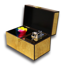 جعبه گل رز جاودان مدل موزیکال InfinityGold