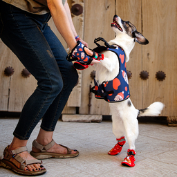 قلاده کتفی سگ تادو کد S107 سایز XL