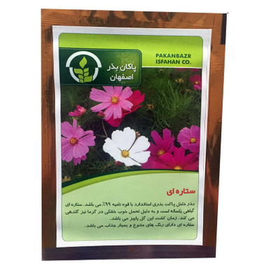 بذر گل ستاره ای پاکان بذر PBGol-134