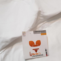 کراپ تاپ زنانه ماییلدا مدل پد متحرک کد 5250-175 رنگ سفید