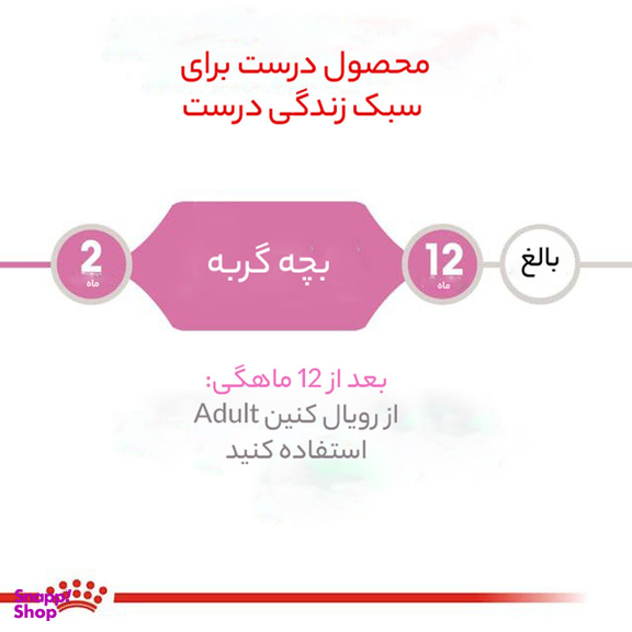 غذای خشک گربه رویال کنین مدل بالغ عقیم شده وزن 2 کیلوگرم