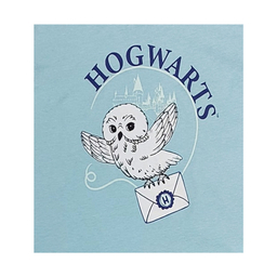 ست تیشرت آستین کوتاه و شلوارک راحتی پسرانه هری پاتر مدل 6330 رنگ آبی