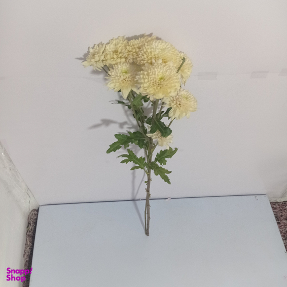 شاخه گل طبیعی داوودی کد 18