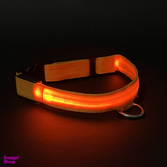 قلاده گردنی LED دار شارژی کد 1040006 سایز S