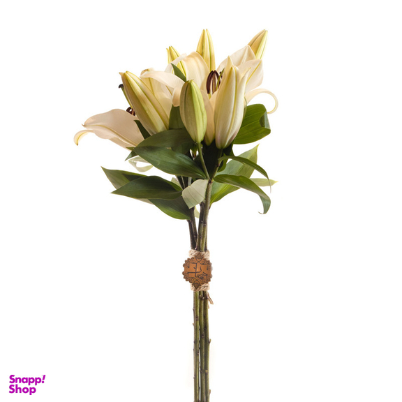 دسته گل طبیعی اورینتال هیمان کد 1101