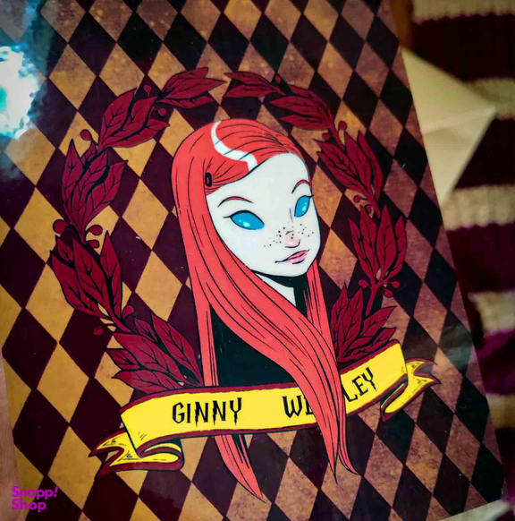 نشانگر کتاب مدل جینی ویزلی