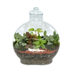 تراریوم مدل آنتالیا سایز بزرگ