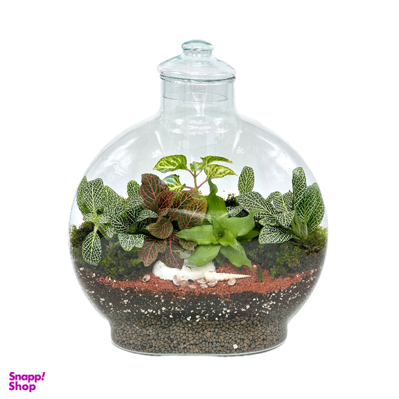 تراریوم مدل آنتالیا سایز بزرگ