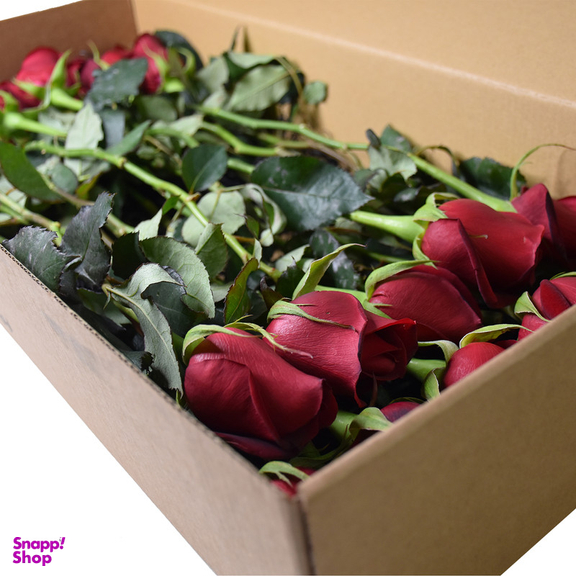 شاخه گل رز هلندی قرمز دسته 20 عددی