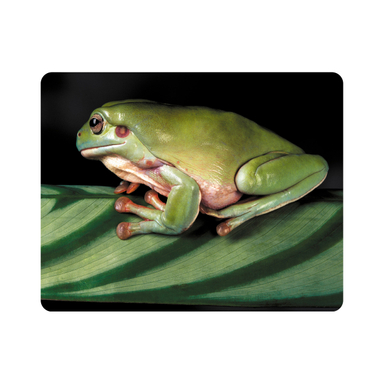 ماوس پد اطلس آبی طرح برگ و قورباغه مدل T2171