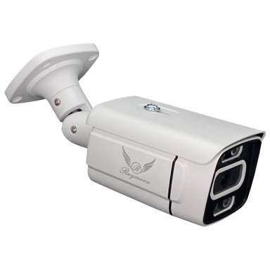 دوربین مداربسته تحت شبکه رایمون مدل 5 مگاپیکسل Network Surveillance 8302