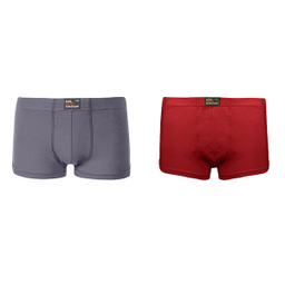 شورت مردانه دل مد گروپ مدل 249820921 بسته دو عددی