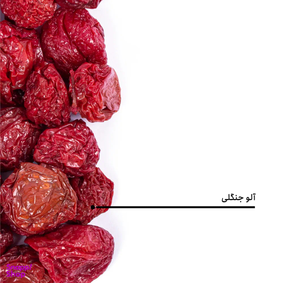 آلو جنگلی خشک قرمز بارجیل