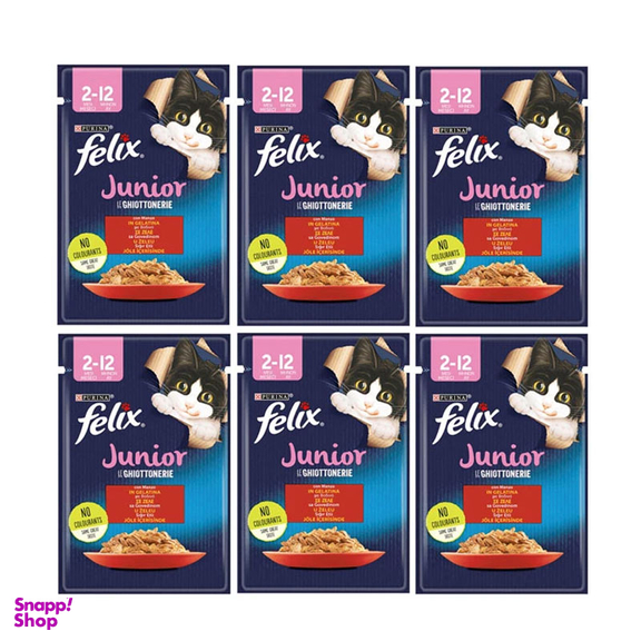 پوچ بچه گربه فلیکس مدل گوشت وزن 85 گرم مجموعه 6 عددی