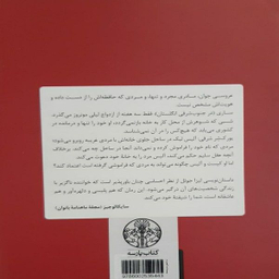 کتاب پیدایت کردم اثر لیزا جوئل انتشارات کتاب پارسه