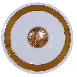 پنکه سقفی ارشیا مدل FC2241-P220