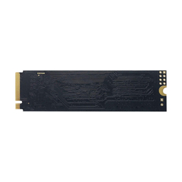 اس اس دی اینترنال پتریوت مدل P300 ظرفیت 128 گیگا بایت