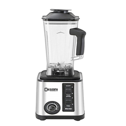 مخلوط کن و آسیاب کن 2.5 لیتری دسینی مدل 9966