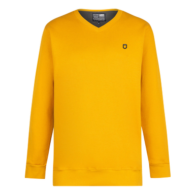 پلیور مردانه مالدینی مدل po-010