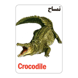 فلش کارت آشنایی با خزندگان و دوزیستان انتشارات جواهری