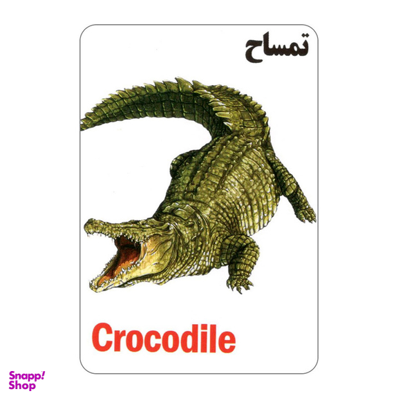 فلش کارت آشنایی با خزندگان و دوزیستان انتشارات جواهری