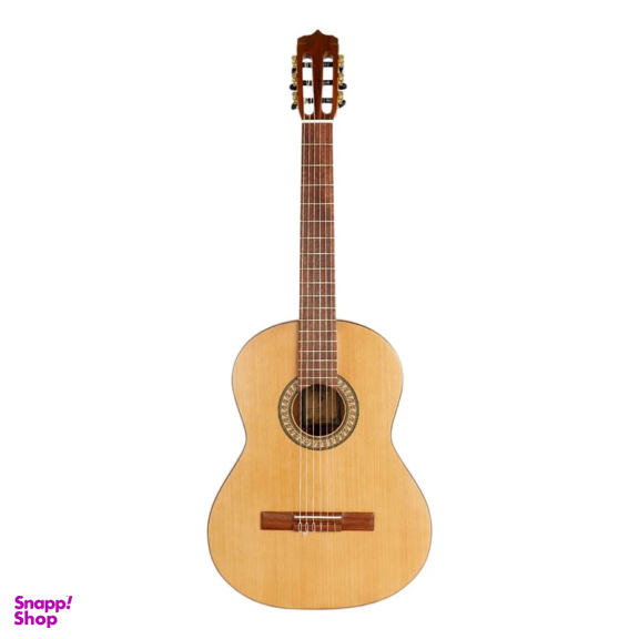 گیتار پارسی مدل P70 کد 4 همراه با کاور