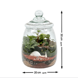 تراریوم مدل پرنیا سایز بزرگ