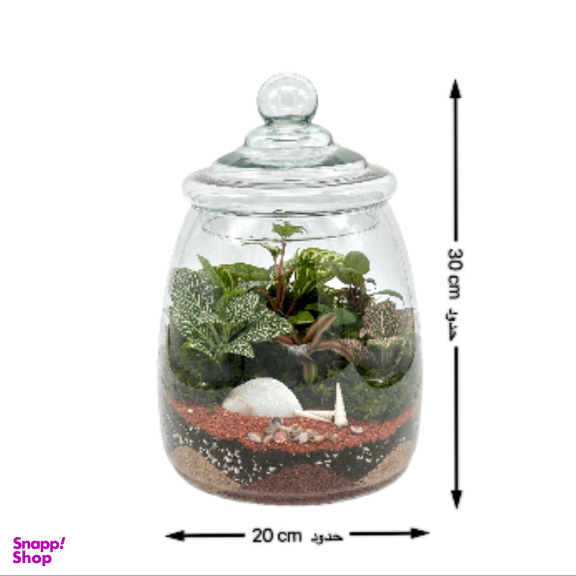 تراریوم مدل پرنیا سایز بزرگ