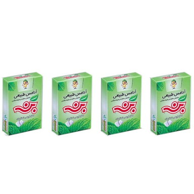 آدامس طبیعی بن طعم نعنا پونه مجموعه 4 عددی