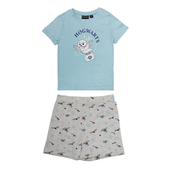 ست تیشرت آستین کوتاه و شلوارک راحتی پسرانه هری پاتر مدل 6330 رنگ آبی