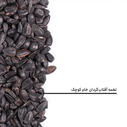 تخمه آفتابگردان خام کوچک