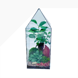 تراریوم بنسای مدل مینی آشیونه