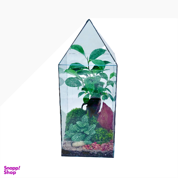 تراریوم بنسای مدل مینی آشیونه